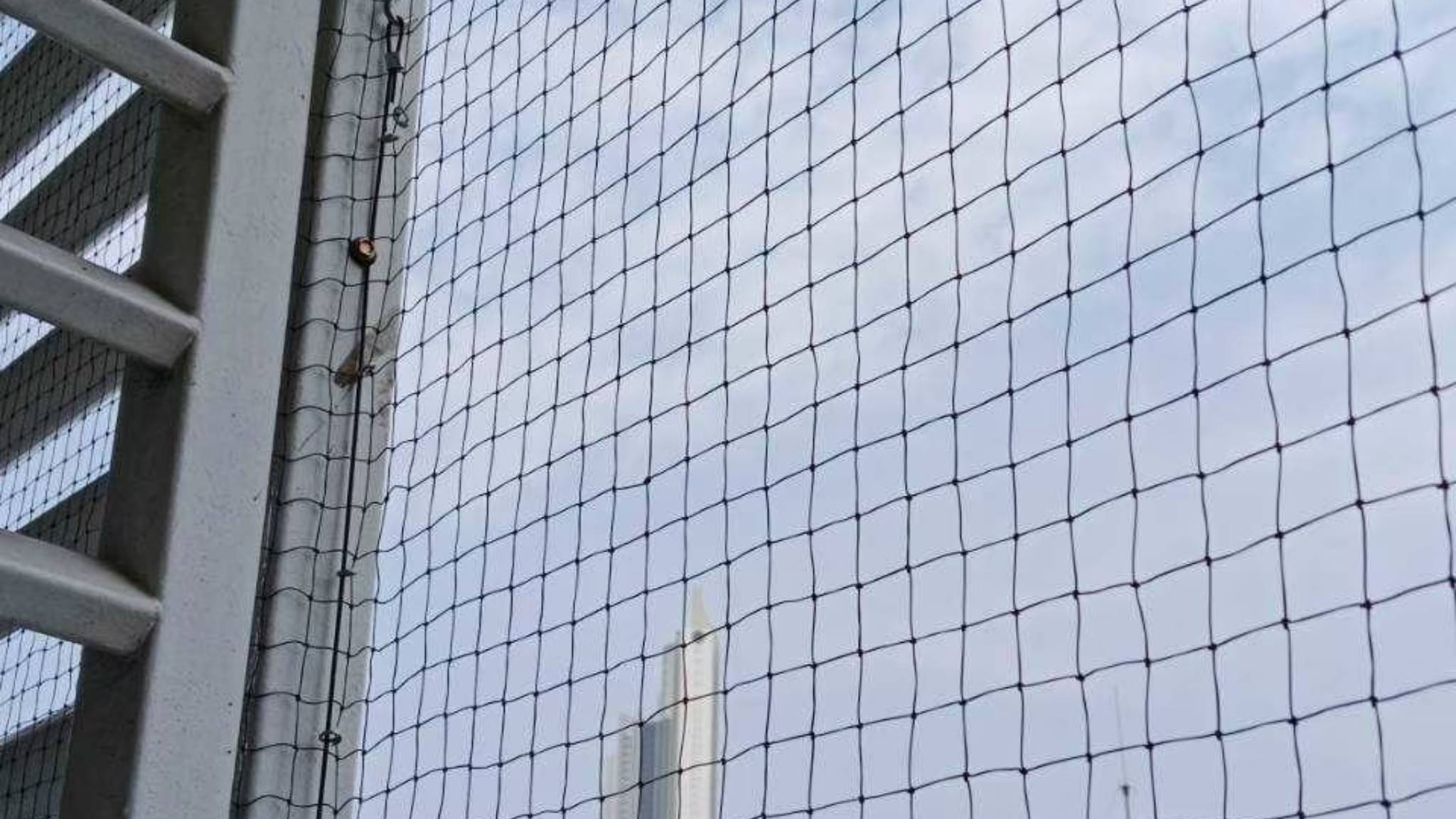 New Project (13).jpg